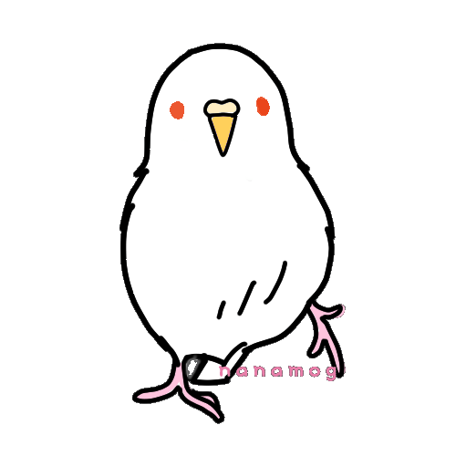 セキセイインコ 白 Gif画像 透過加工 ななもぐの素材屋