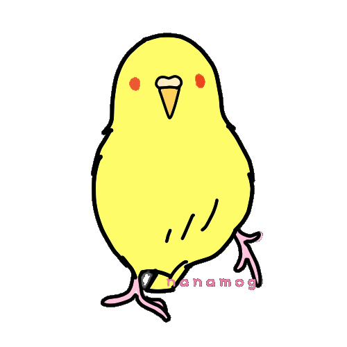 セキセイインコ 黄色 Gif画像 透過加工 ななもぐの素材屋